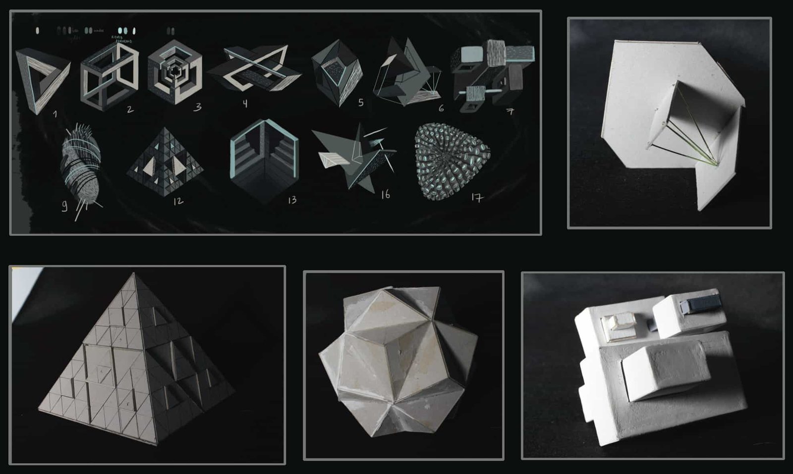 Poliangular 1